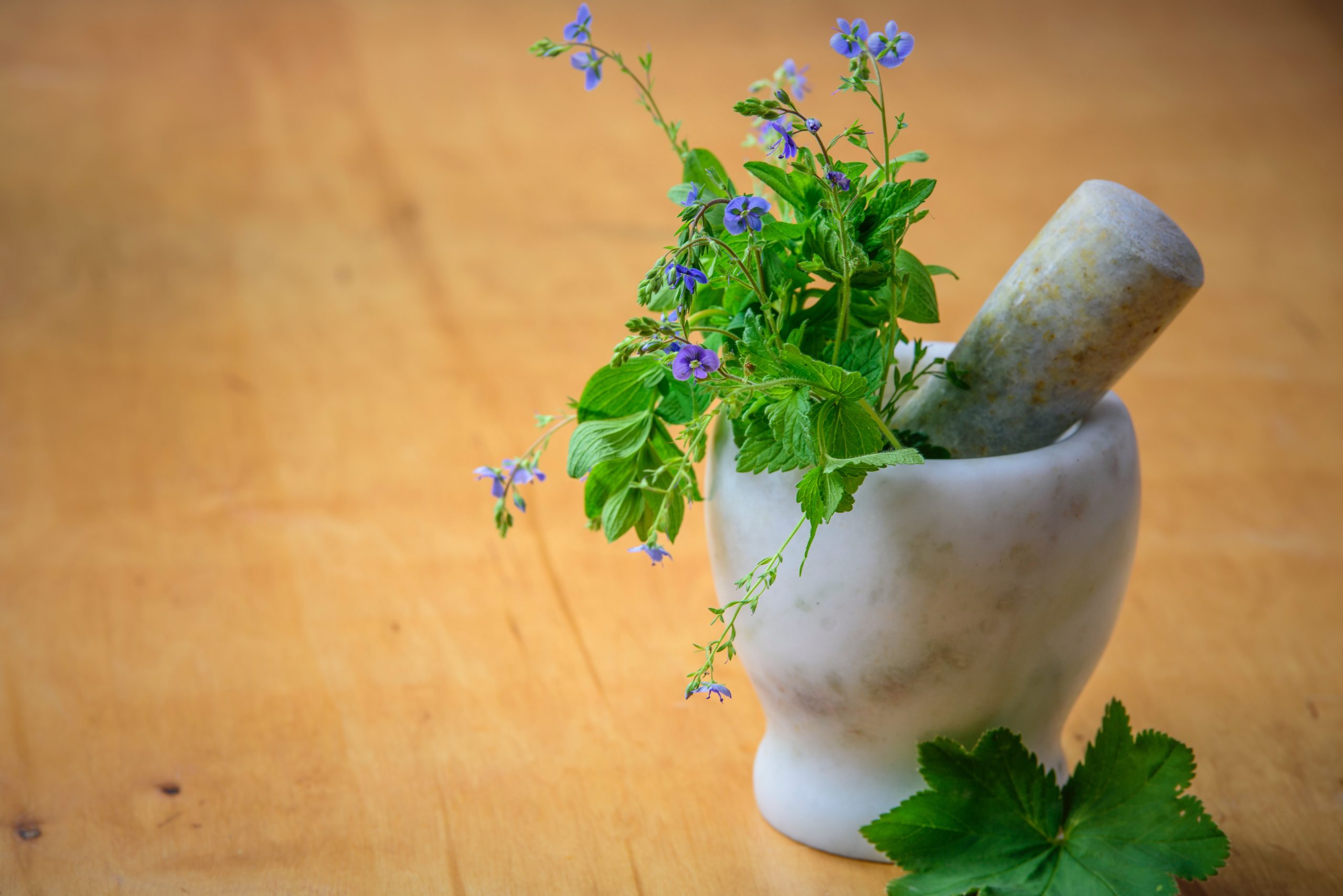 Los 10 remedios naturales y suplementos herbales más utilizados en el esoterismo